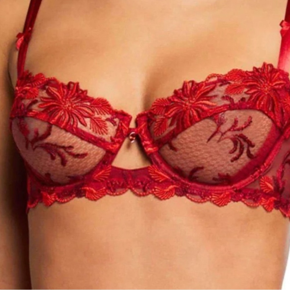 Lise Charmel Fleur Aphrodite Demi Bra + free panty